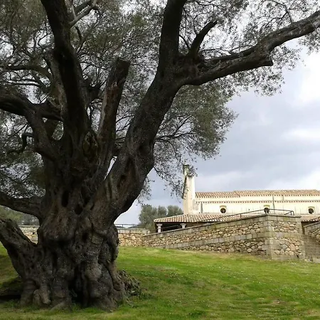 Casa Alice Appartamento